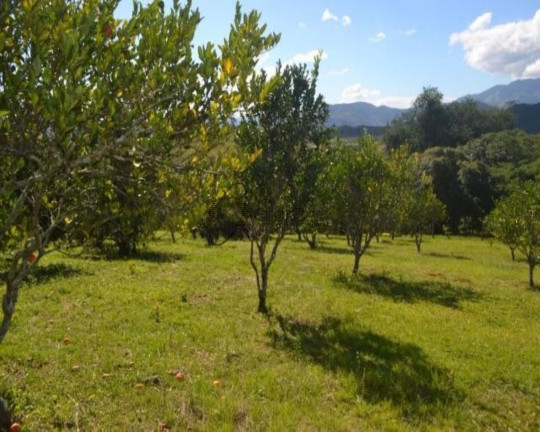 Imagem Imóvel à Venda, em . - Tanguá Imagem Imóvel à Venda, em . - Tanguá
