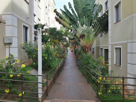Imagem Apartamento com 2 Quartos à Venda, 47 m² em Lagoinha - Ribeirão Preto Imagem Apartamento com 2 Quartos à Venda, 47 m² em Lagoinha - Ribeirão Preto