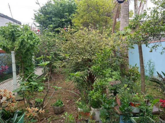 Imagem Casa com 1 Quarto à Venda, 254 m² em Jardim Ana Rosa - São Paulo