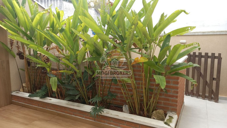Imagem Casa de Condomínio com 3 Quartos à Venda, 120 m² em Jardim Rubi - Mogi Das Cruzes Imagem Casa de Condomínio com 3 Quartos à Venda, 120 m² em Jardim Rubi - Mogi Das Cruzes