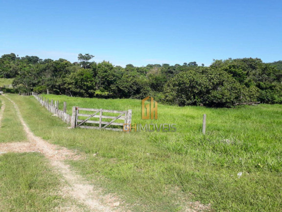 Imagem Chácara à Venda, 338.800 m² em Area Rural - Novo Brasil Imagem Chácara à Venda, 338.800 m² em Area Rural - Novo Brasil