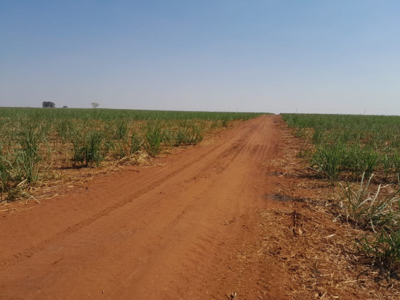 Imagem Imóvel à Venda, 40 m² em área Rural De Jales - Jales Imagem Imóvel à Venda, 40 m² em área Rural De Jales - Jales