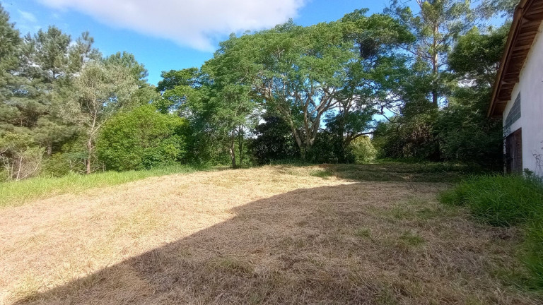Imagem Imóvel com 2 Quartos à Venda, 28.600 m² em Passo Da Areia - Viamão Imagem Imóvel com 2 Quartos à Venda, 28.600 m² em Passo Da Areia - Viamão