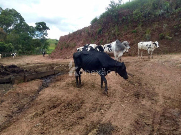 Imagem Fazenda à Venda, 100 m² em Borda Do Campo - Cunha Imagem Fazenda à Venda, 100 m² em Borda Do Campo - Cunha