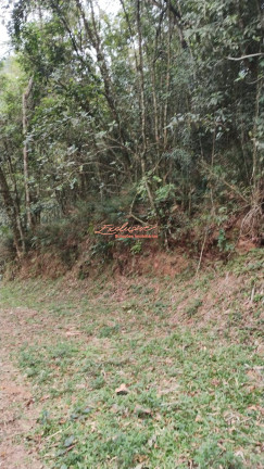 Imagem Chácara à Venda, 2.100 m² Imagem Chácara à Venda, 2.100 m²