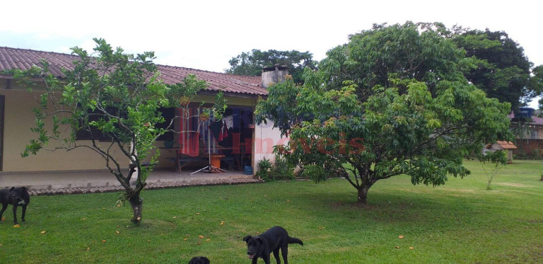 Imagem Terreno à Venda, 1 m² em Balneário Praia Das Palmeiras - Itapoá Imagem Terreno à Venda, 1 m² em Balneário Praia Das Palmeiras - Itapoá