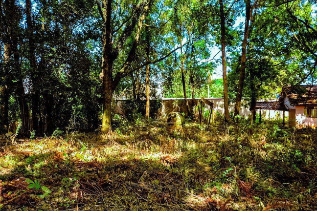 Imagem Terreno à Venda, 2.189 m² em Pinheirinho - Curitiba Imagem Terreno à Venda, 2.189 m² em Pinheirinho - Curitiba
