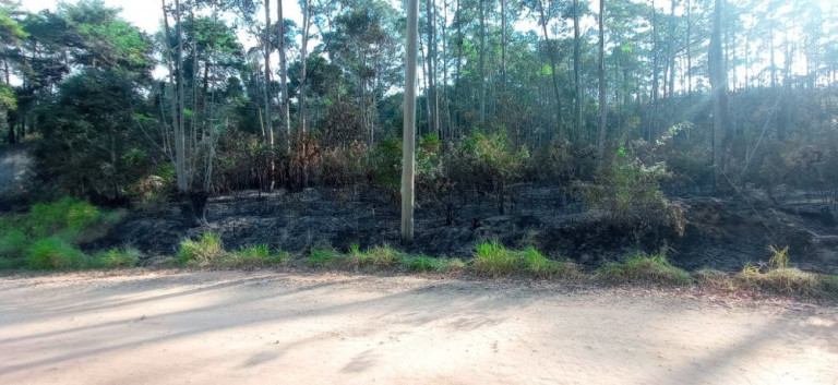 Imagem Imóvel à Venda, 266.200 m² em Pedra Vermelha (terra Preta) - Mairiporã Imagem Imóvel à Venda, 266.200 m² em Pedra Vermelha (terra Preta) - Mairiporã