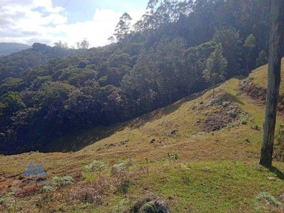 Imagem Terreno à Venda, 20.004 m² em Centro - São Pedro De Alcântara Imagem Terreno à Venda, 20.004 m² em Centro - São Pedro De Alcântara