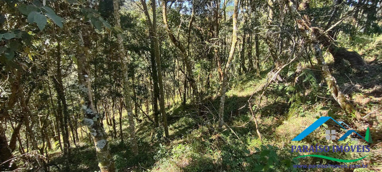 Imagem Chácara à Venda, 100 m² em Centro - Gonçalves