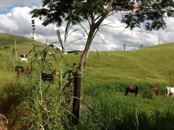 Imagem Fazenda à Venda, 100 m² em Santa Joana - Santa Branca Imagem Fazenda à Venda, 100 m² em Santa Joana - Santa Branca