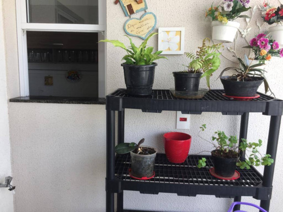 Imagem Apartamento com 2 Quartos à Venda, 72 m² em Chácara Inglesa - São Paulo