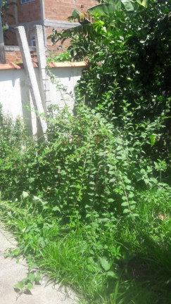 Imagem Imóvel com 2 Quartos à Venda, 80 m² em Campo Grande - Rio De Janeiro Imagem Imóvel com 2 Quartos à Venda, 80 m² em Campo Grande - Rio De Janeiro