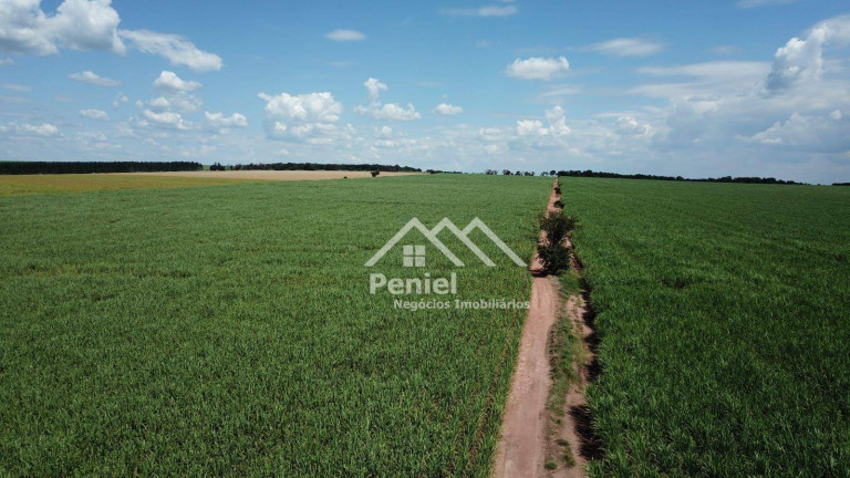 Imagem Fazenda à Venda, 500 m² em Luis Antonio - Luís Antônio Imagem Fazenda à Venda, 500 m² em Luis Antonio - Luís Antônio
