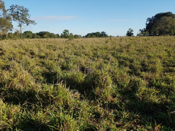 Imagem Chácara à Venda, 5 m² em Zona Rural - Israelândia Imagem Chácara à Venda, 5 m² em Zona Rural - Israelândia