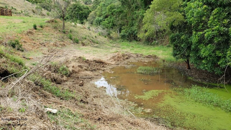 Imagem Imóvel à Venda, 10 m² em Sitio Capituvas - Bandeira Do Sul Imagem Imóvel à Venda, 10 m² em Sitio Capituvas - Bandeira Do Sul
