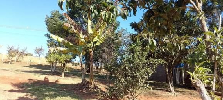 Imagem Imóvel com 2 Quartos à Venda, 120 m² em Bairro Barro Branco - Lagoinha Imagem Imóvel com 2 Quartos à Venda, 120 m² em Bairro Barro Branco - Lagoinha