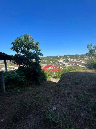 Imagem Terreno à Venda, 442 m² em Itaum - Joinville Imagem Terreno à Venda, 442 m² em Itaum - Joinville