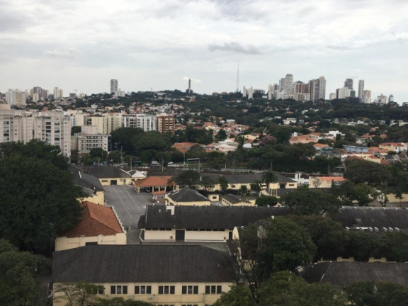 Imagem Apartamento com 3 Quartos para Alugar, 79 m² em Vila Anastácio - São Paulo Imagem Apartamento com 3 Quartos para Alugar, 79 m² em Vila Anastácio - São Paulo