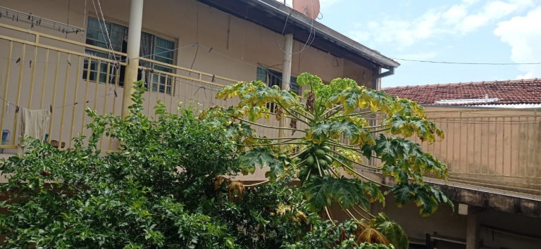 Imagem Casa com 4 Quartos à Venda, 250 m² em Jardim Satélite - São José Dos Campos