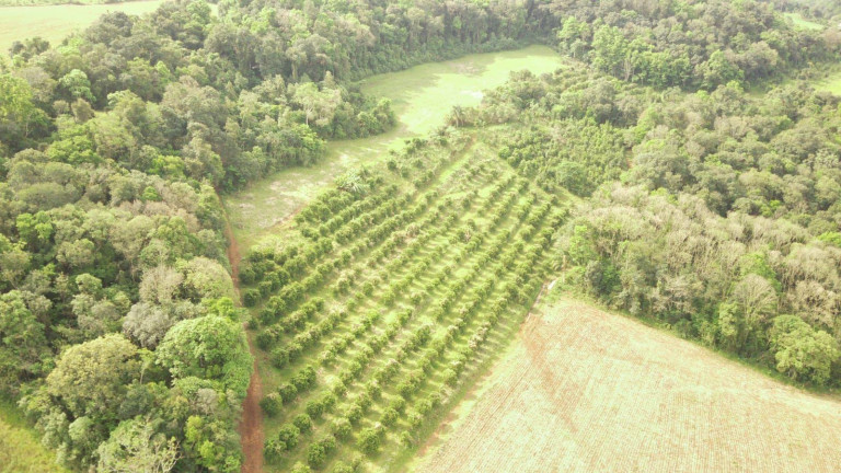 Imagem Terreno à Venda, 242.000 m² em Rural - Concórdia Imagem Terreno à Venda, 242.000 m² em Rural - Concórdia