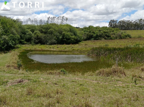 Imagem Imóvel com 1 Quarto à Venda, 1.137.400 m² em Centro - Paranapanema Imagem Imóvel com 1 Quarto à Venda, 1.137.400 m² em Centro - Paranapanema