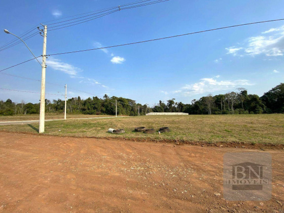 Imagem Terreno à Venda, 450 m² em Linha Santa Cruz - Santa Cruz Do Sul Imagem Terreno à Venda, 450 m² em Linha Santa Cruz - Santa Cruz Do Sul