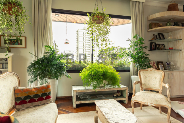 Imagem Apartamento com 4 Quartos à Venda, 242 m² em Moema - São Paulo Imagem Apartamento com 4 Quartos à Venda, 242 m² em Moema - São Paulo