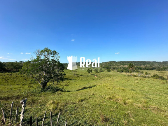 Imagem Fazenda à Venda, 1.300.000 m² em Centro - Mata De São João