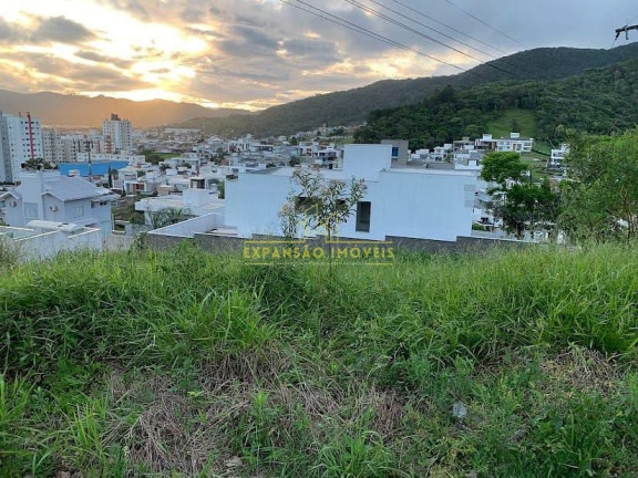 Imagem Terreno à Venda, 450 m² em Pedra Branca - Palhoça Imagem Terreno à Venda, 450 m² em Pedra Branca - Palhoça