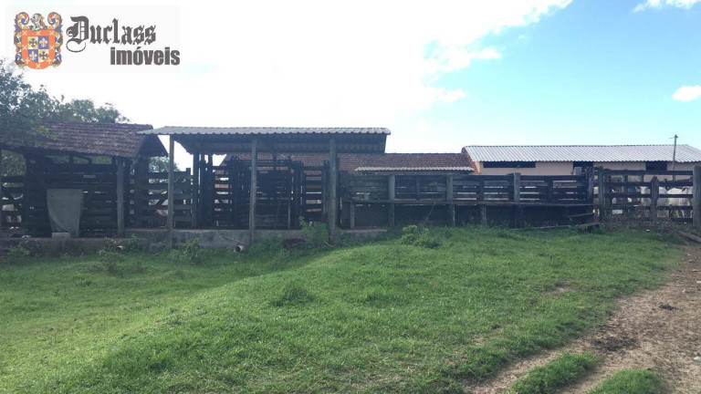 Imagem Fazenda à Venda, 52 m² em São Vicente De Paula - Araruama Imagem Fazenda à Venda, 52 m² em São Vicente De Paula - Araruama
