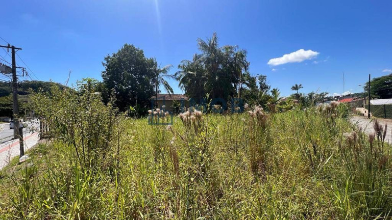 Terreno à Venda, 391 m² em Avaí - Guaramirim