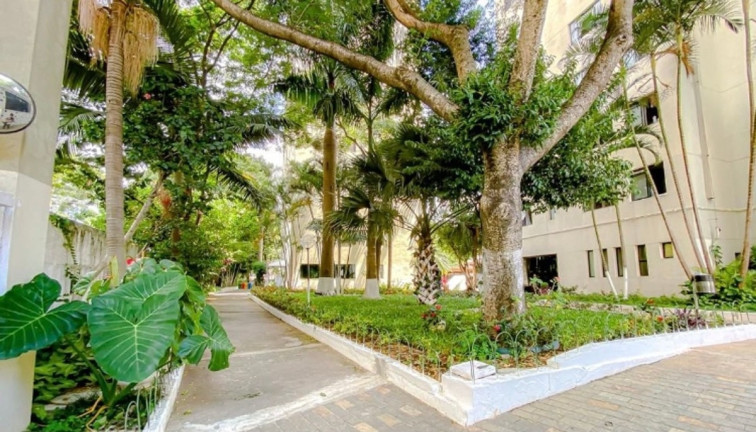 Imagem Apartamento com 2 Quartos à Venda, 50 m² em Brás - São Paulo
