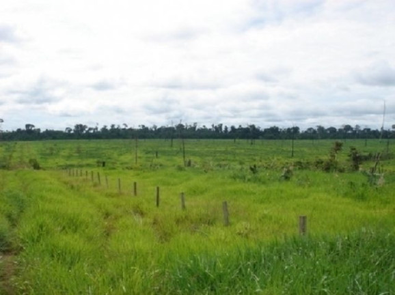 Imagem Imóvel à Venda, 58.264 m² em área Rural De Aripuana - Aripuana Imagem Imóvel à Venda, 58.264 m² em área Rural De Aripuana - Aripuana