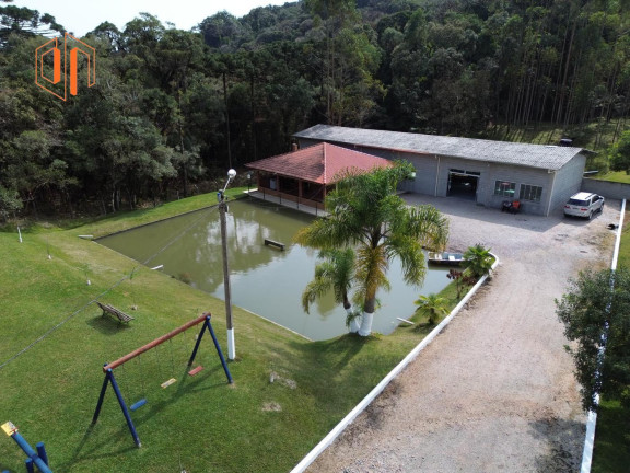 Imagem Imóvel à Venda, 4.000 m² em Borda Do Campo - São José Dos Pinhais Imagem Imóvel à Venda, 4.000 m² em Borda Do Campo - São José Dos Pinhais