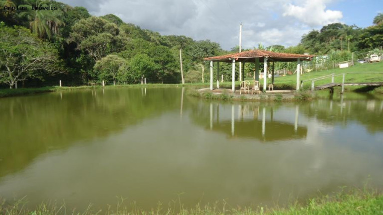 Imagem Fazenda à Venda, 6 m² em Azurita - Mateus Leme