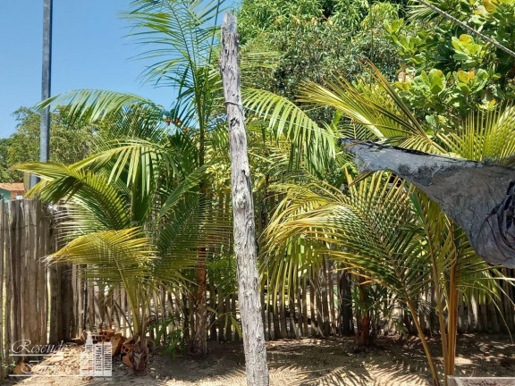Imagem Fazenda à Venda, 1.600 m² em Imirizal - Salvaterra Imagem Fazenda à Venda, 1.600 m² em Imirizal - Salvaterra