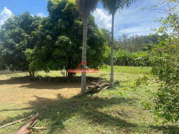 Imagem Chácara com 3 Quartos à Venda, 10.000 m² em Viçosa Imagem Chácara com 3 Quartos à Venda, 10.000 m² em Viçosa