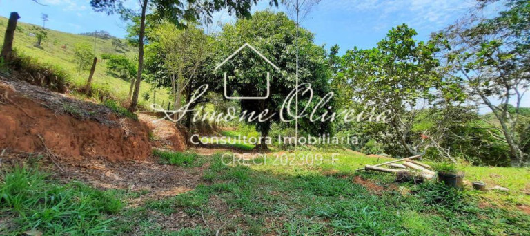 Imagem Chácara com 4 Quartos à Venda, 27.000 m² em Campinas - Pindamonhangaba Imagem Chácara com 4 Quartos à Venda, 27.000 m² em Campinas - Pindamonhangaba