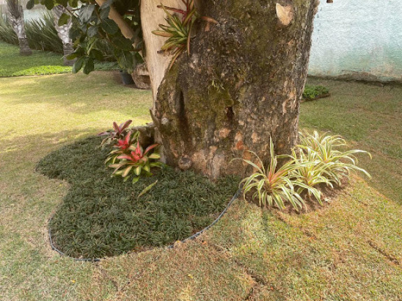 Imagem Imóvel à Venda, 5.000 m² em Chácaras São José - São José Dos Campos Imagem Imóvel à Venda, 5.000 m² em Chácaras São José - São José Dos Campos
