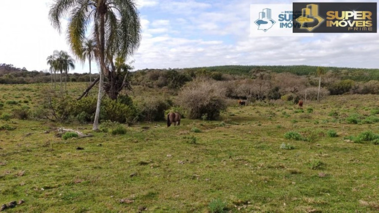 Imóvel com 2 Quartos à Venda, 580.000 m² em Centro - Canguçu