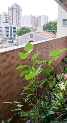 Imagem Apartamento com 2 Quartos à Venda, 53 m² em Itapuã - Vila Velha Imagem Apartamento com 2 Quartos à Venda, 53 m² em Itapuã - Vila Velha