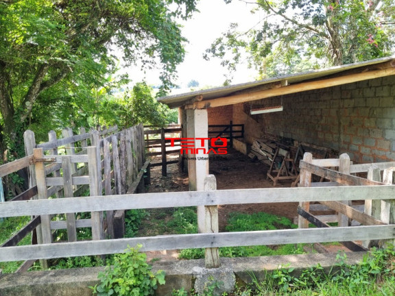 Imagem Imóvel com 3 Quartos à Venda,  em Zona Rural - Pouso Alto