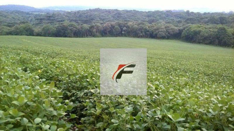 Imagem Chácara com 3 Quartos à Venda, 242.000 m² em Centro - Lapa Imagem Chácara com 3 Quartos à Venda, 242.000 m² em Centro - Lapa
