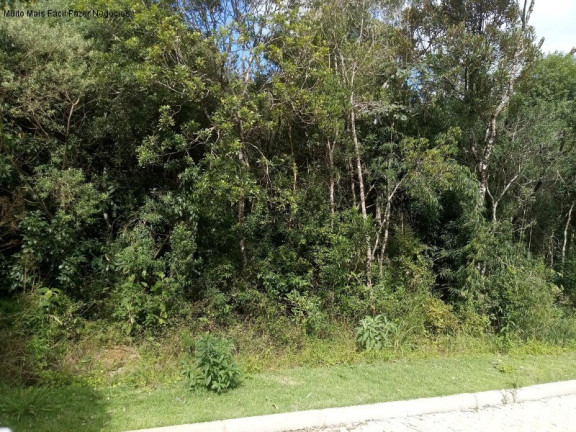 Imagem Terreno à Venda, 370 m² em Linha Imperial - Nova Petrópolis Imagem Terreno à Venda, 370 m² em Linha Imperial - Nova Petrópolis