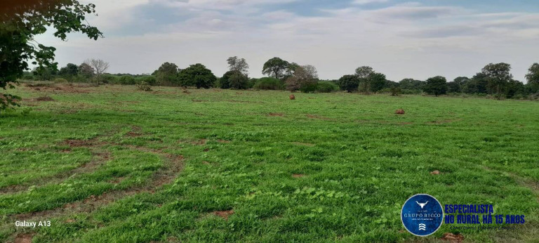 Imagem Fazenda à Venda, 114 m² em Zona Rural - Araguaiana Imagem Fazenda à Venda, 114 m² em Zona Rural - Araguaiana