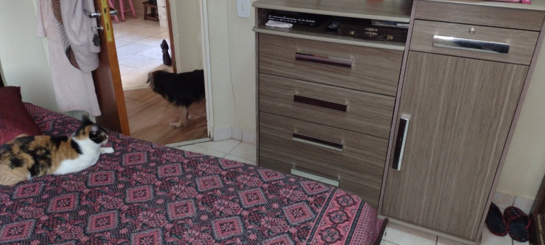 Imagem Apartamento com 3 Quartos à Venda, 65 m² em Vila Emir - São Paulo