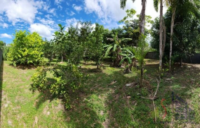 Imagem Terreno em Condomínio à Venda, 800 m² em Ponta Negra - Manaus Imagem Terreno em Condomínio à Venda, 800 m² em Ponta Negra - Manaus