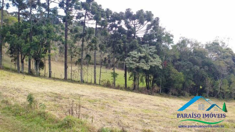 Imagem Terreno à Venda, 38 m² em Centro - Gonçalves Imagem Terreno à Venda, 38 m² em Centro - Gonçalves