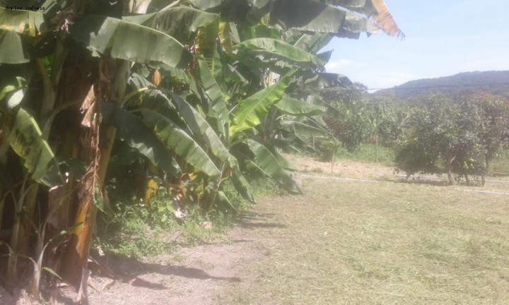 Imagem Chácara com 3 Quartos à Venda, 90 m² em Azurita - Mateus Leme Imagem Chácara com 3 Quartos à Venda, 90 m² em Azurita - Mateus Leme